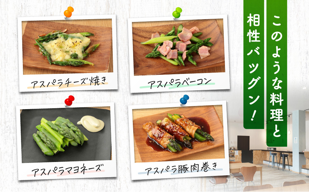 【2026年発送・先行受付】ひだっこアスパラ 500g | アスパラ アスパラガス 飛騨産 野菜 春  夏野菜  産地直送 新鮮 食品 おいしい 人気 飛騨高山 ひだっこの里 CM007