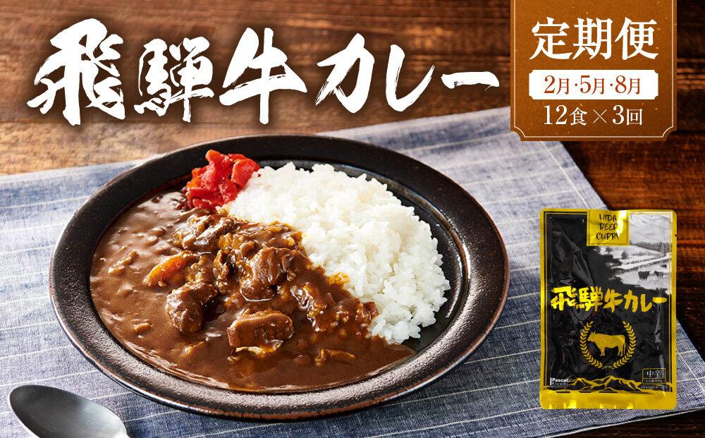 【期間限定】飛騨牛カレー 36袋(12袋x3回)   定期便 3回【2月・5月・8月】| 訳あり 飛騨牛 肉 牛 カレー ビーフカレー 簡易包装 レトルトカレー ご当地カレー 人気 おすすめ ふるさと清見21 DC104