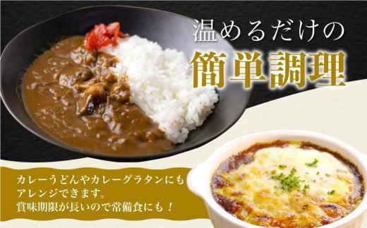 【期間限定】飛騨牛カレー 36袋(12袋x3回) 定期便 3回【3月・6月・9月】| 訳あり 飛騨牛 肉 牛 カレー ビーフカレー 簡易包装 レトルトカレー ご当地カレー 人気 おすすめ ふるさと清見21 DC105