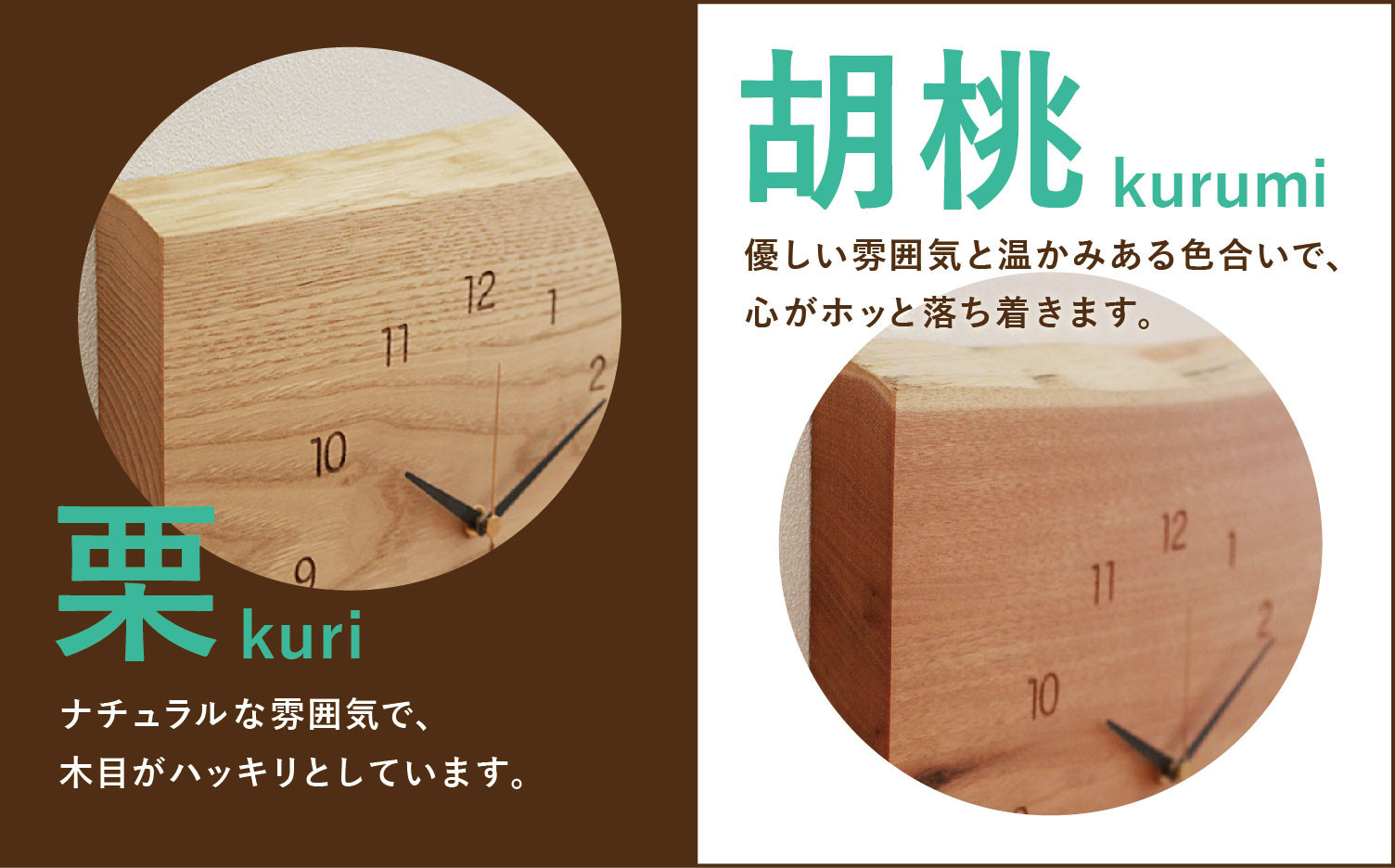 ã12æé
éãé£éššã®å€©ç¶æšã®æãæèšïŒæšªåïŒ| 幎å
çºé æèš æãæèš æ ããã¿ æ€ç©ç±æ¥ãªã€ã« æšè£œ ç¡å¢æ å€©ç¶æš é£éššé«å±± ãªãã³ã° ããã³ã¬å®¶å
· GF022VC12