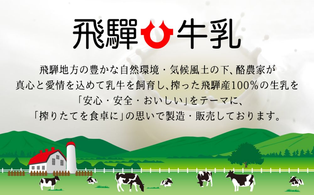 飛騨牛乳 6種14個 バラエティセット 牛乳 ヨーグルト 飲むヨーグルト  ミルクプリン b652 