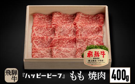 【12月配送】飛騨牛 A5等級 赤身 もも肉 焼肉 400g 年内発送 発送時期が選べる 黒毛和牛 ブランド牛 Ａ5ランク ハッピープラス 飛騨高山 JQ021VC12