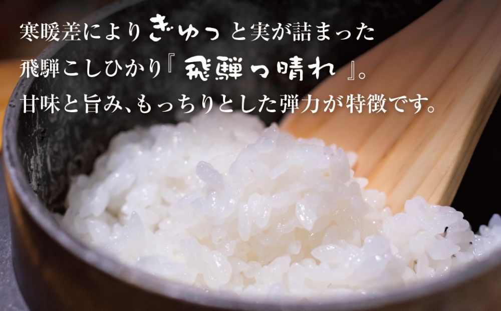 こしひかり飛騨っ晴れ 白米 10kg 生産者直送 お米 コシヒカリ 飛騨産 飛騨高山 アグリランド  TR3806