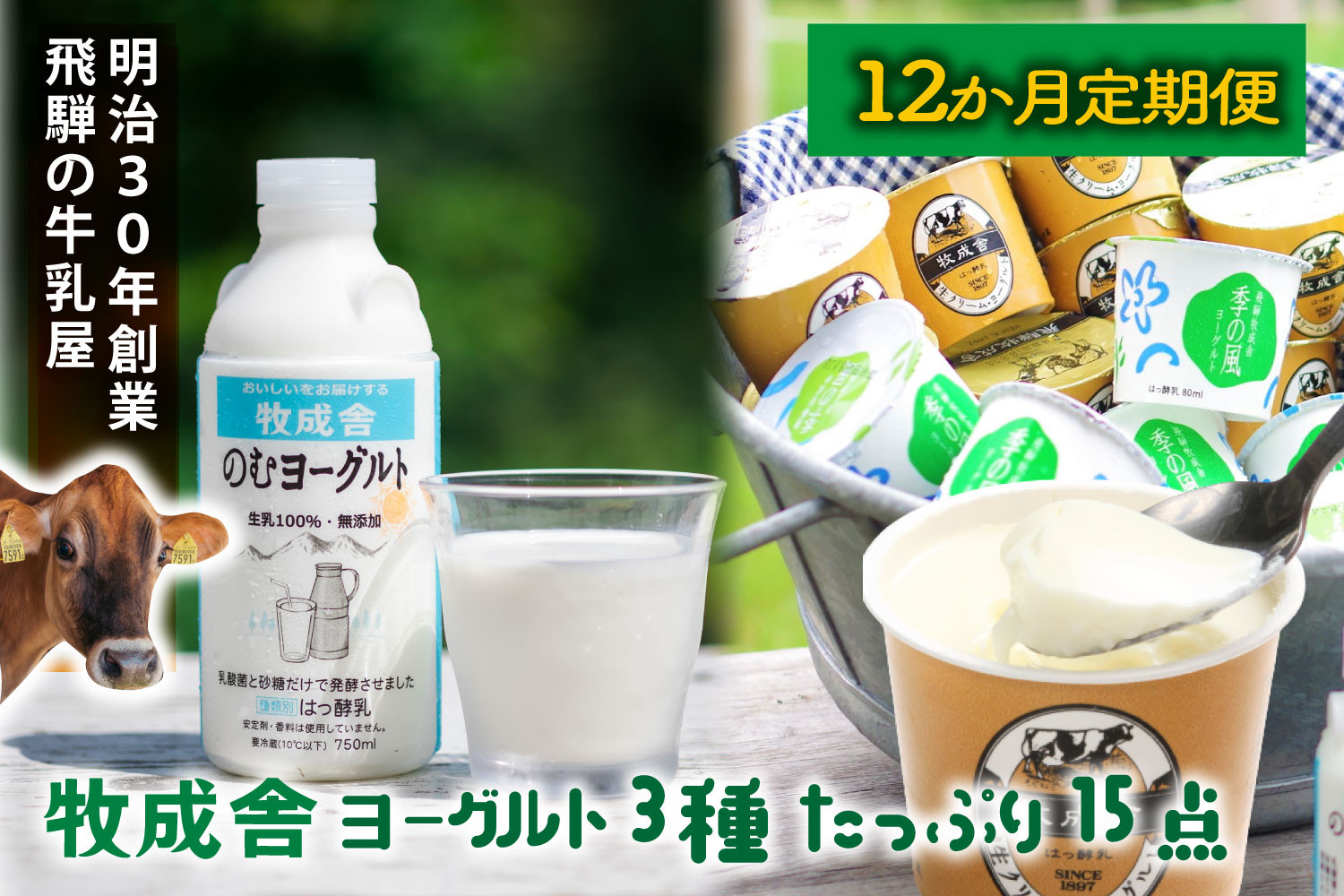 【12か月定期便】牧成舎のヨーグルトたっぷりセット｜のむヨーグルト750ml×3本・生クリームヨーグルト×6個・季の風ヨーグルト×6個｜飛騨産生乳使用・お取り寄せ 飛騨高山 ｜(有)牧成舎 DF243