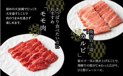 5等級 飛騨牛 焼肉 (もも、バラ) 盛り合わせ 400g | 食べ比べ 詰め合わせ BBQ バーベキュー キャンプ お取り寄せ 牛肉 和牛 黒毛和牛 グルメ 焼肉セット 飛騨高山 ながせ食品 FH012VC13