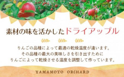 【先行予約】有機肥料100%の飛騨産干しりんご 40g入り×9袋 | 9月下旬〜順次発送 りんご ダイエット 無添加 シュガーフリー おいしい 素材の味 ギフト プレゼント ドライフルーツ 山本果樹園 MA007