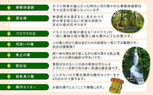 2023・24年度シーズン 乗鞍山麓 秘境「五色ヶ原」トレッキング  ロングコース「ゴスワラコース（所要8時間）」2名分  MK003