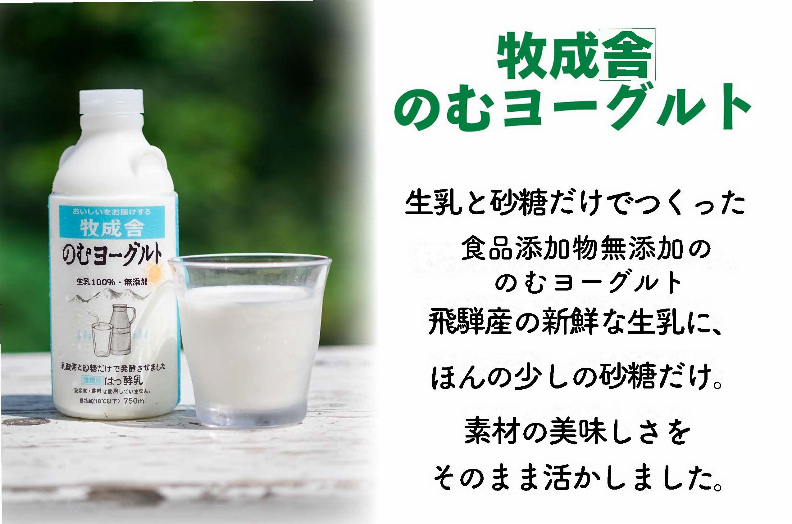 【3か月定期便】牧成舎のヨーグルトたっぷりセット｜のむヨーグルト750ml×3本・生クリームヨーグルト×6個・季の風ヨーグルト×6個｜飛騨産生乳使用・お取り寄せ 飛騨高山 ｜(有)牧成舎 DF240