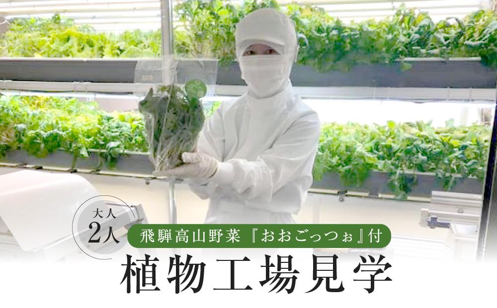 飛騨高山野菜『おおごっつぉ』付植物工場見学（大人２人）| 工場見学 体験学習 長期連休 グリーンリーフ 園芸 チケット 旅行 飛騨高山 株式会社FDS HS003