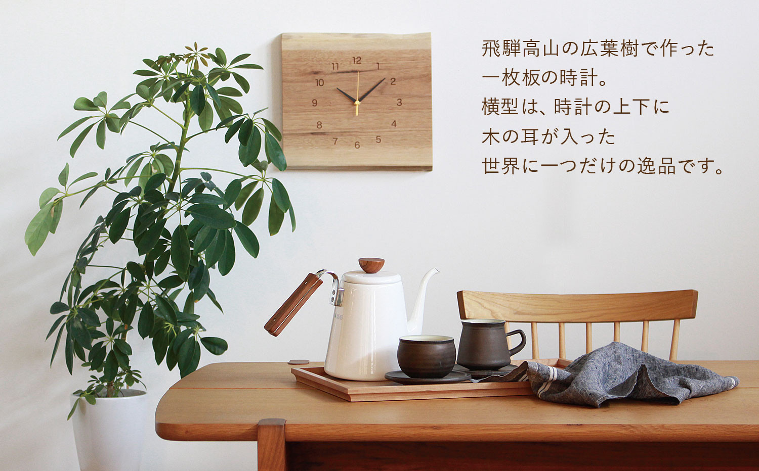 é£éššã®å€©ç¶æšã®æãæèšïŒæšªåïŒ| æèš æãæèš ã¯ãã㯠ç§é æ ã¯ãª ã¯ã«ã ããã¿ æ€ç©ç±æ¥ãªã€ã« æšè£œ ç¡å¢æ å€©ç¶æš é£éššé«å±± ãªãã³ã° ããã³ã¬å®¶å
· GF022VC13