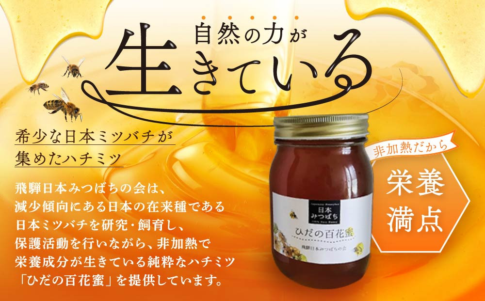 ひだの百花蜜 600g×1本 | 国産 非加熱 日本ミツバチ ハニー ハチミツ はちみつ 蜂蜜 飛騨高山 飛騨日本みつばちの会 PN004
