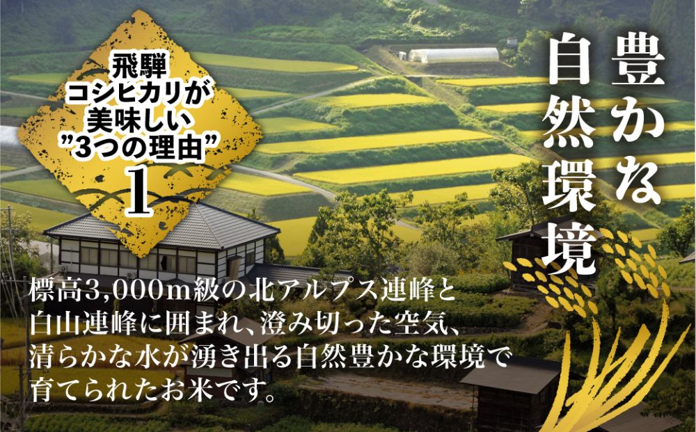  飛騨こしひかり 10kg 【令和5年度産】JAひだ 飛騨高山 お米 コシヒカリ TR3442 