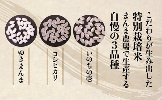 【令和6年度産 新米】コシヒカリ 5kg | お米 米 白米 特別栽培米 金賞受賞農家 こしひかり 飛騨高山 まんま農場 LT001