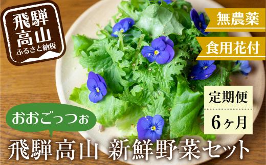 【定期便6回】飛騨高山野菜『おおごっつぉ』詰合せ 葉物野菜 葉物 ミックスリーフ わさびな フラワーサラダ 無農薬野菜 無農薬 HS100