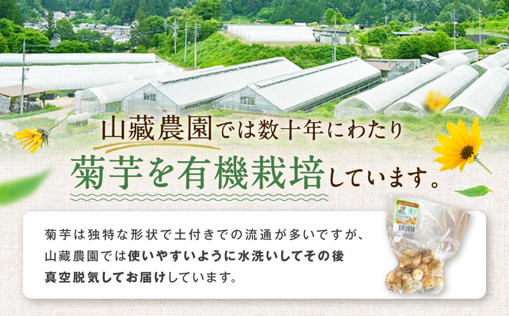 飛騨高山で有機栽培した「菊芋」1kg | 野菜 芋 菊芋 有機栽培 オーガニック 有機JAS認証 おいしい 飛騨高山 有限会社山藏農園 JC014