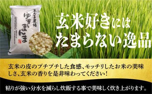 定期便 3ヶ月 飛騨ゆきまんま 玄米 10kg 特別栽培米  特別優秀賞 まんま農場  LT005