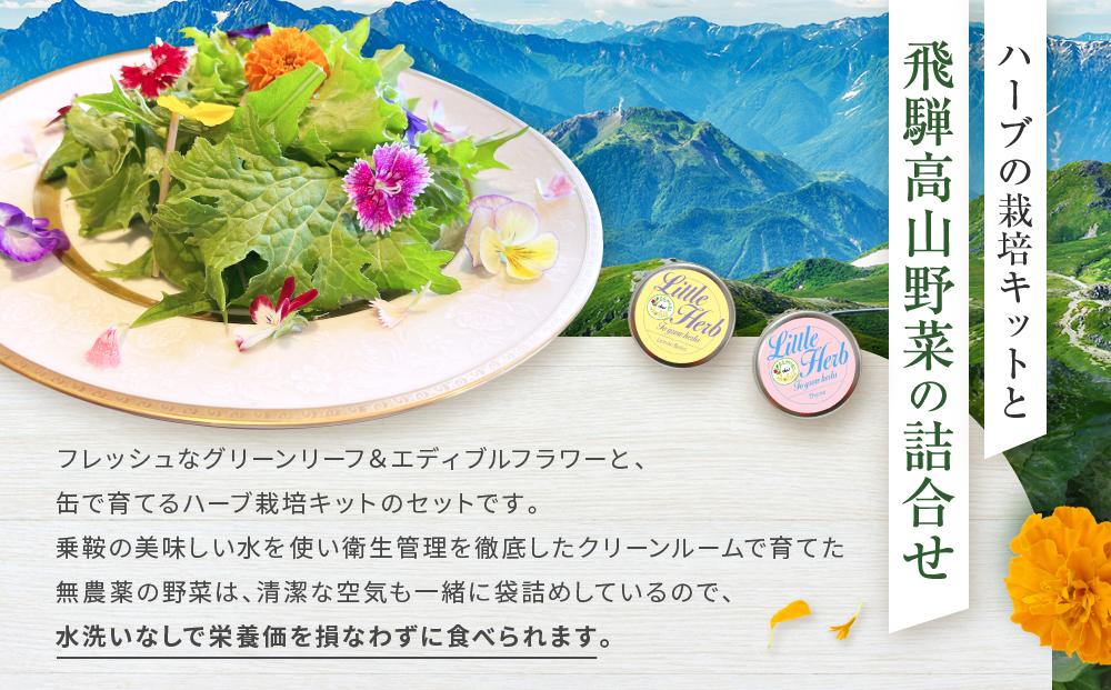 飛騨高山野菜『おおごっつぉ』詰合せ ＆ 缶で育てるハーブ栽培キット（ミニサイズ）| 野菜 グリーンリーフ エディブルフラワー 家庭菜園 リーフ 葉野菜 ハーブ 飛騨高山 株式会社FDS HS002