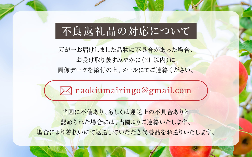 【先行予約】飛騨高山産 山本果樹園 旬の飛騨りんご 約3kｇ(9個〜12個）| 9月中旬〜 順次発送 りんご 果物 フルーツ おいしい 大容量 飛騨高山 山本果樹園 MA002