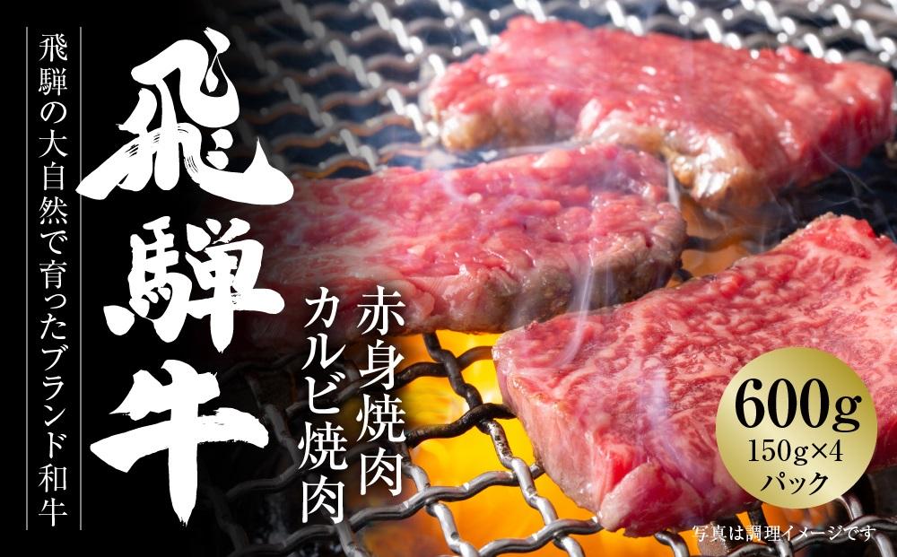 飛騨牛 焼肉 厳選2種盛（赤身・カルビ） 600g（150g×各2パック） 冷凍真空パック | 肉 お肉 焼肉 焼き肉 やきにく 黒毛和牛 和牛 個包装 小分け 人気 おすすめ 牛肉 ギフト お取り寄せ【飛騨高山ミートMZ008】