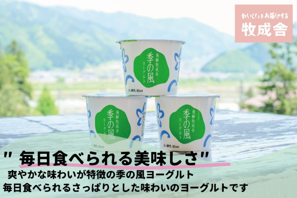 【定期便６か月】飛騨のカップヨーグルト20個セット 毎月1回お届け 乳製品 ヨーグルト2種類 セット 詰合せ 牧成舎 DF109