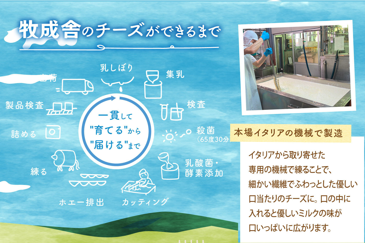 ãå
š12åãå±ããç§æèã®ä¹³è£œåå®æäŸ¿ïœãã¶ã»ãšãŒã°ã«ãã»ããŒãºã»çä¹³ãæ¯ææ¥œããïœä¹³è£œå è©°åã ãã¶ãŒã æ£è 乳飲æ ç§æè DF235