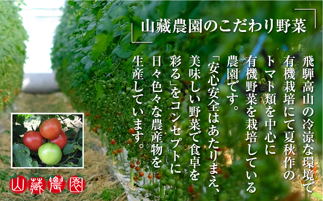 【定期便】飛騨高山で採れた有機栽培トマトを使って作ったトマトジュース（定期便）30本×3回 毎月お届け 3ヶ月 無添加 砂糖・塩・保存料不使用 種類おまかせ 品種色々 熨斗 のし JC102