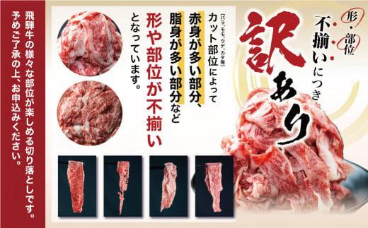 飛騨牛 訳あり 切り落とし600g  (日付指定不可) | 牛肉 肉 訳あり 切落し すき焼き高山市 不揃い 黒毛和牛 冷凍 人気 国 産 薄切り 部位 お取り寄せ グルメ 高評価 レビュー  (株)丸明 LR004FAJ