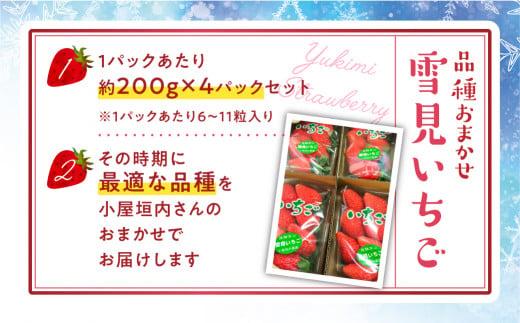 【2025年先行予約】雪見いちご 約200g×4パック | 糖度が高くてほどよい酸味 数量限定 イチゴ フルーツ 果物 いちご 品種おまかせ（紅ほっぺ／紅かおり／山天王）飛騨高山 小屋垣内農園 JA002