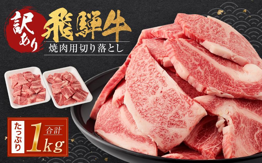 【11月配送】訳あり 飛騨牛焼肉用切り落とし たっぷり1kg （不揃い・大容量）| 飛騨牛 肉 おいしい 飛騨高山 切り落とし 小分け BBQ 正月 肉の匠家 BV027VC11