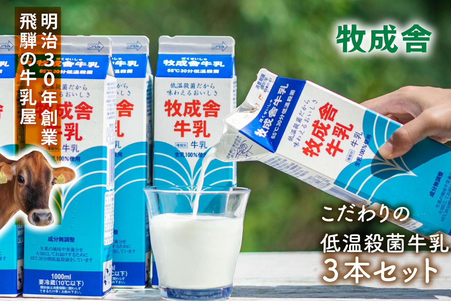 牧成舎の生乳100％使用牛乳1000ml×3本セット｜お取り寄せ・濃厚ミルク・子どもにも安心DF043
