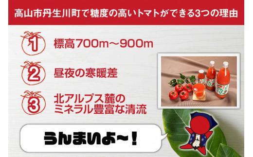 マルオリ トマトジュース 180ml×10本入 食塩無添加 | 無塩 無添加 完熟トマト ストレートジュース 100％果汁 飲み切り 小サイズ 小瓶 飛騨高山 マルオリ LS004VC13