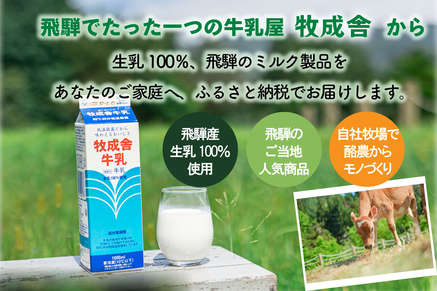 【10か月定期便】牧成舎のヨーグルトたっぷりセット｜のむヨーグルト750ml×3本・生クリームヨーグルト×6個・季の風ヨーグルト×6個｜飛騨産生乳使用・お取り寄せ 飛騨高山 ｜(有)牧成舎 DF242