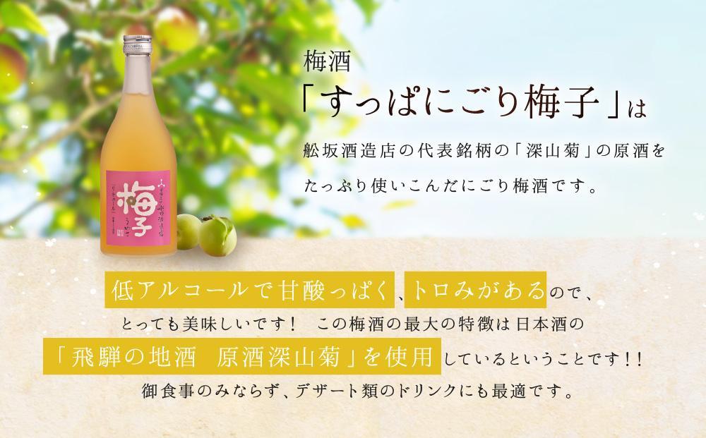 【12月配送】飛騨の地酒で造ったにごり梅酒「すっぱにごり梅子」 ｜ 年内配送が選べる 年内発送 日本酒 梅 人気 おすすめ 有限会社舩坂酒造店　FB002VC12