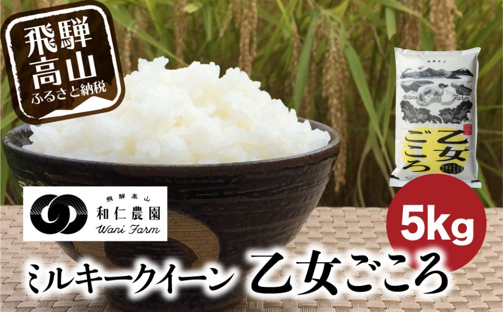 【令和6年度産 新米】もちもち食感の飛騨産ミルキークイーン「乙女ごころ」5kg | 米 お米 白米 ご飯 ごはん 飛騨高山 和仁農園 MF008