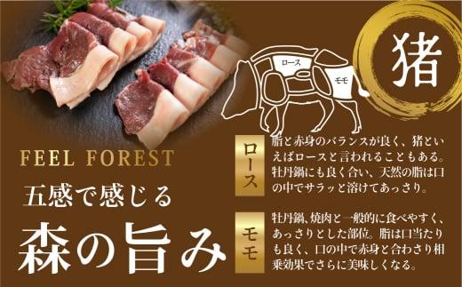 飛騨ジビエ ジビエ串3種6本 | ジビエ BBQ 食べ比べ 高たんぱく ヘルシー 自然派 猟師 飛騨狩人工房 うり坊屋 飛騨高山 株式会社かりびと HN012