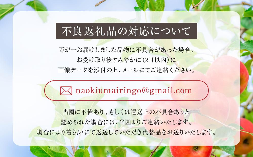 【数量限定/先行予約】飛騨りんご 約5kg (16個～20個）| 9月中旬～順次発送 リンゴ 品種おまかせ 旬のりんごを飛騨からお届け おいしい 大容量 飛騨高山 a529