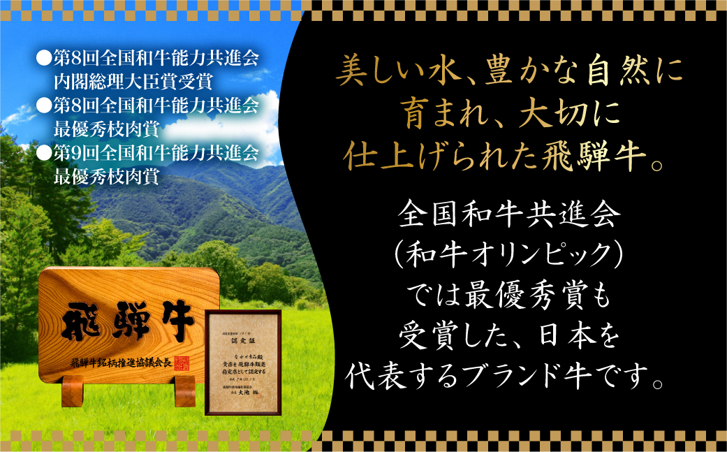 【定期便6ヶ月】 A5ランク肉 飛騨牛 定期便 約2.6kg(360g以上×6ヶ月) 牛肉 ( 焼肉 すき焼き しゃぶしゃぶ ステーキ 肩ロース ヒレ サーロイン もも バラ ) | 食べ比べ A5 人気 お楽しみ おすすめ 岐阜県 高山市 飛騨高山 ながせ食品 TR4505