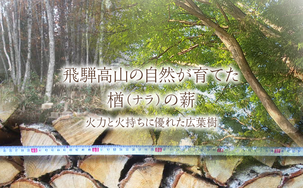 荵セ辯・繝翫Λ阮ェ 1譛ャ縺ゅ◆繧顔エ30cm 邏25kg | 繝翫Λ 讌「 轣ォ謖√■ 辯辟シ 閠蝉ケ蜉 荵セ辯・ 髟キ謖√■ 繧ケ繝医シ繝 證也i 阮ェ繧ケ繝医シ繝 螟ァ蜑イ 繧ュ繝」繝ウ繝 辟夂↓ 繧「繧ヲ繝医ラ繧「 鬟幃ィィ鬮伜アア 荳牙ア蟾・謌ソ TC001