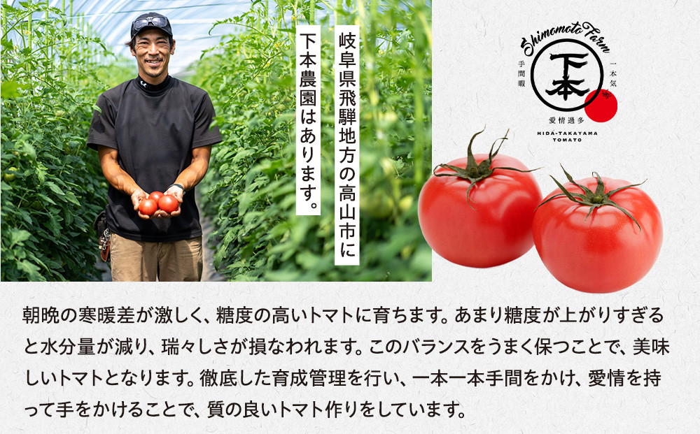 完熟飛騨トマトジュース3本入り｜飛騨高山 新鮮 野菜ジュース こだわり 完熟 とまと 高山市 下本農園 PR001