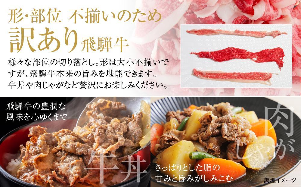 訳あり 飛騨牛 切落とし 500g 冷凍真空パック | 肉 お肉 切り落とし 薄切り すき焼き すきやき 黒毛和牛 和牛 人気 おすすめ 牛肉 ギフト お取り寄せ 飛騨高山ミート MZ011VC13
