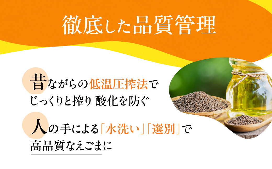 飛騨生搾り えごま油 100g×3本セット 毎月搾りたてをお届け 定期便 ３回  エゴマ油 えごま エゴマ 低温圧搾 無添加 国産えごま油  オメガ３（α-リノレン酸） たっぷり 健康 飛騨 飛騨高山 飛騨えごま本舗 CD101