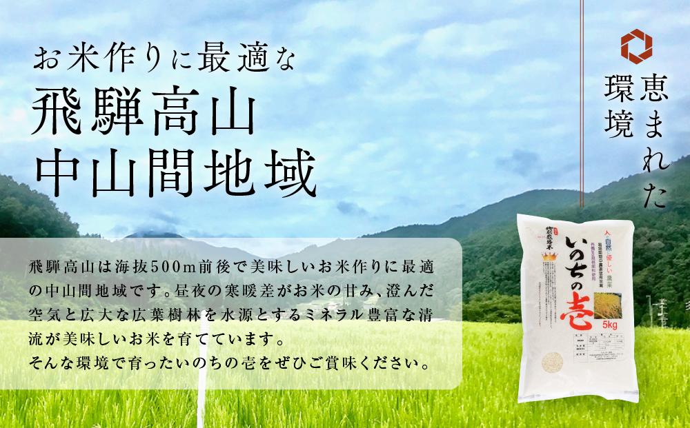 【定期便】令和5年産 飛騨高山産いのちの壱（白米）10kg×6ケ月 | 粒が大きい ブランド米 お米 ご飯 おいしい 人気 いのちの壱 飛騨高山 クオリティ飛騨高山 AU109