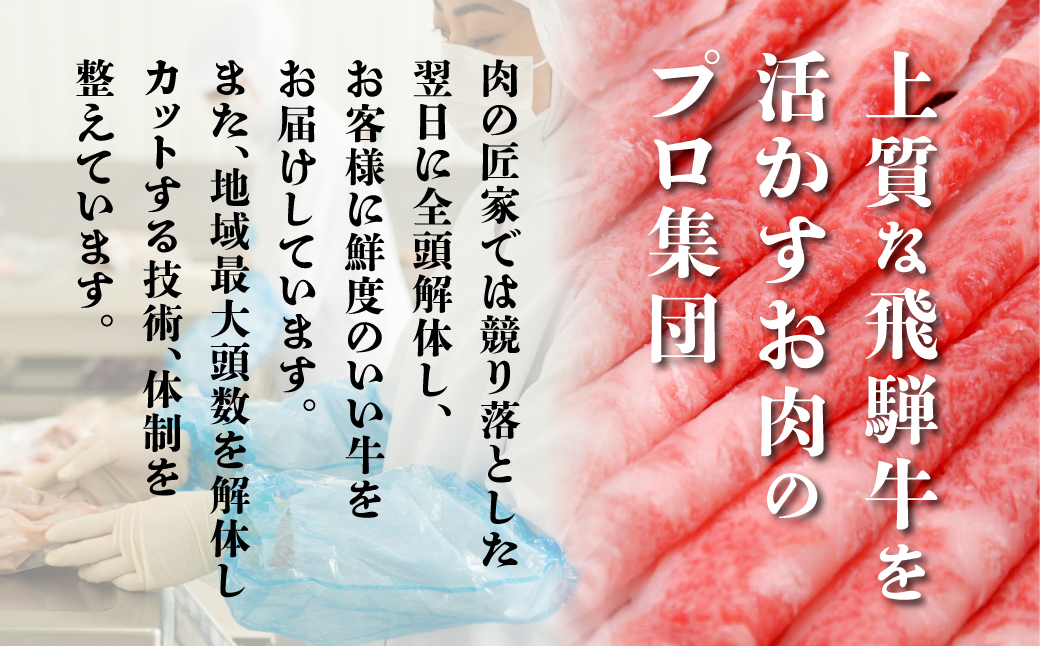 飛騨牛 すき焼き 切落し 600ｇ  ≪冷凍≫   切り落とし  肉 ブランド牛 国産牛 国産   贈答不可 のし対応不可 肉の匠家 TR4393