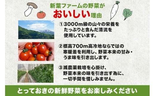 【先行予約】《収穫次第順次発送》 飛騨高山産 スナップえんどう 560g | 野菜 旬 新鮮 飛騨 高山 エンドウ 豆 スナックエンドウ スナップ えんどう豆 飛騨高山 新葉ファーム FV006