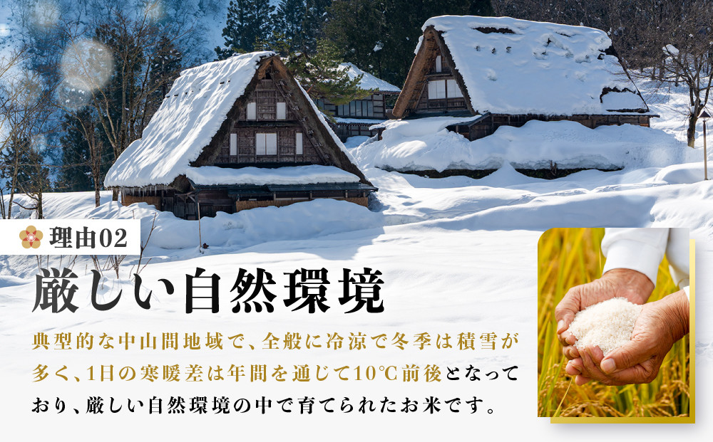 ãå
è¡åä»ã什å8å¹Žç£æ°ç±³ é£éššã³ã·ãã«ãªïŒkg | æ°ç±³ ç±³ ãã¯ã ãããã ãã£ã¡ã é£éššé«å±± è¹å ŽèŸ²å ã€ããææš¹å GH015