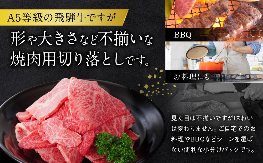 A5等級 飛騨牛 プレミアム 焼肉 切り落とし 600g | 牛肉 黒毛和牛 BBQ 肉料理 ブランド牛 訳あり 不揃い 株式会社岩ト屋 HF042