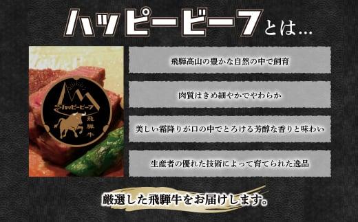 【通常配送】厳選飛騨牛 赤身 ヒレ 300g ステーキ 年内発送 発送時期が選べる 黒毛和牛 ブランド牛 ハッピープラス 飛騨高山 JQ024VC13