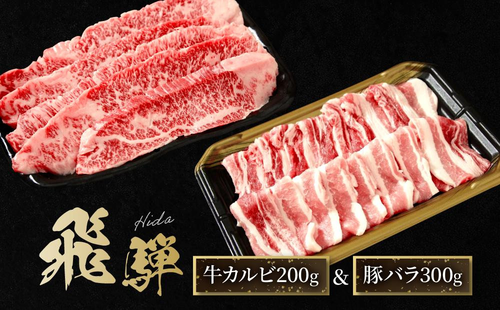 飛騨牛 カルビ200g & 飛騨豚 バラ300g | 食べ比べ セット 焼肉 国産牛 豚肉 飛騨高山 人気 おいしい ファミリーストアさとう CY043VC13