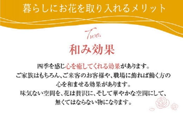 お花の定期便 (毎月4回) 6ヶ月  (計24回)  デザインアレンジメント・カゴ付き アレンジメント  花 定期便 季節の花 インテリア 生花 FJ109