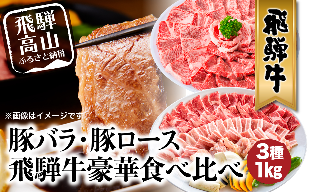 飛騨牛 ＆ 飛騨豚 焼肉 セット 合計 1kg  肉 国産 牛 豚 29-950 ファミリーストアさとう b579